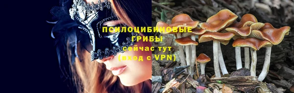 ECSTASY Снежногорск
