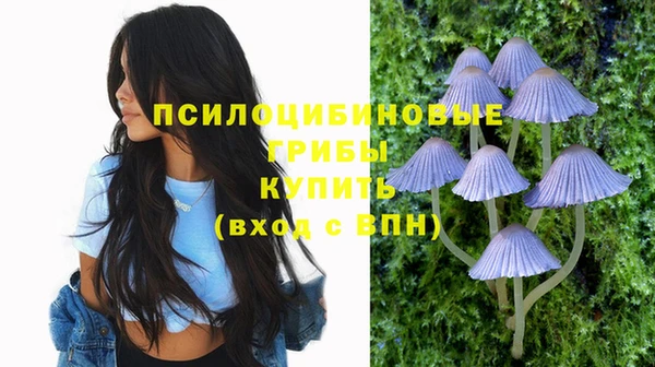 MESCALINE Абаза