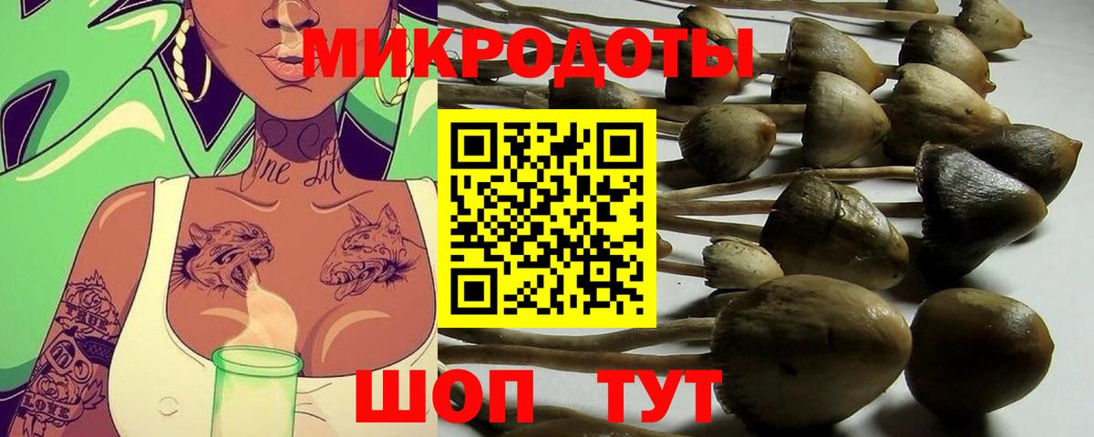 Галлюциногенные грибы прущие грибы  как найти закладки  Кимовск  Галлюциногенные грибы мухоморы  Вход с VPN 