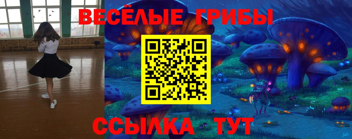 Кимовск  Вход с VPN  КОКАИН  Alpha PVP СОЛЬ кристаллы  Мефедрон кристаллы  Экстази  ГАШ  Марихуана 