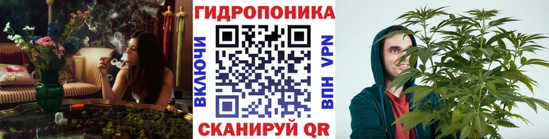 Бошки Шишки Amnesia  Кимовск 